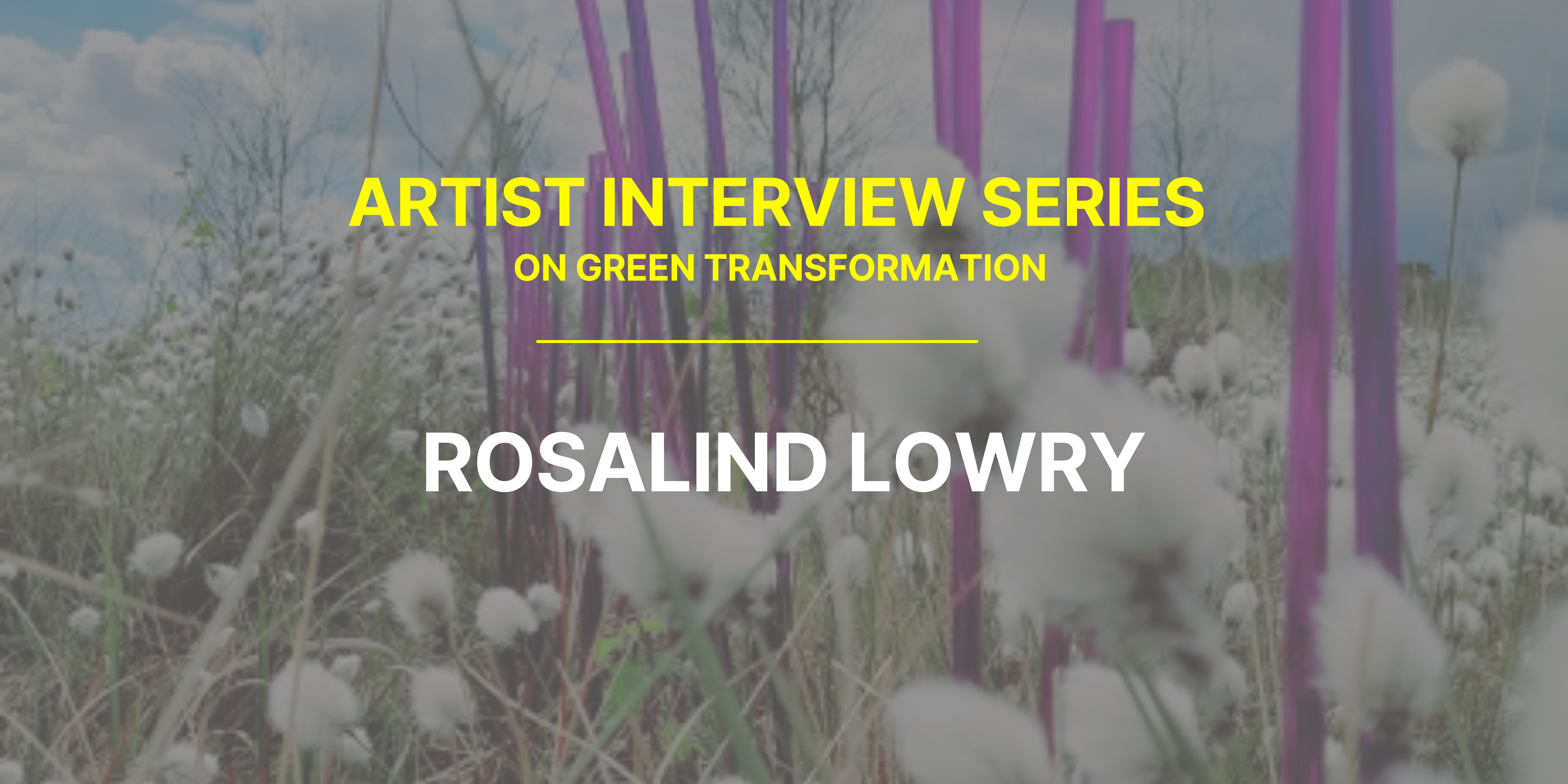 Artist Interview with Rosalind Lowry