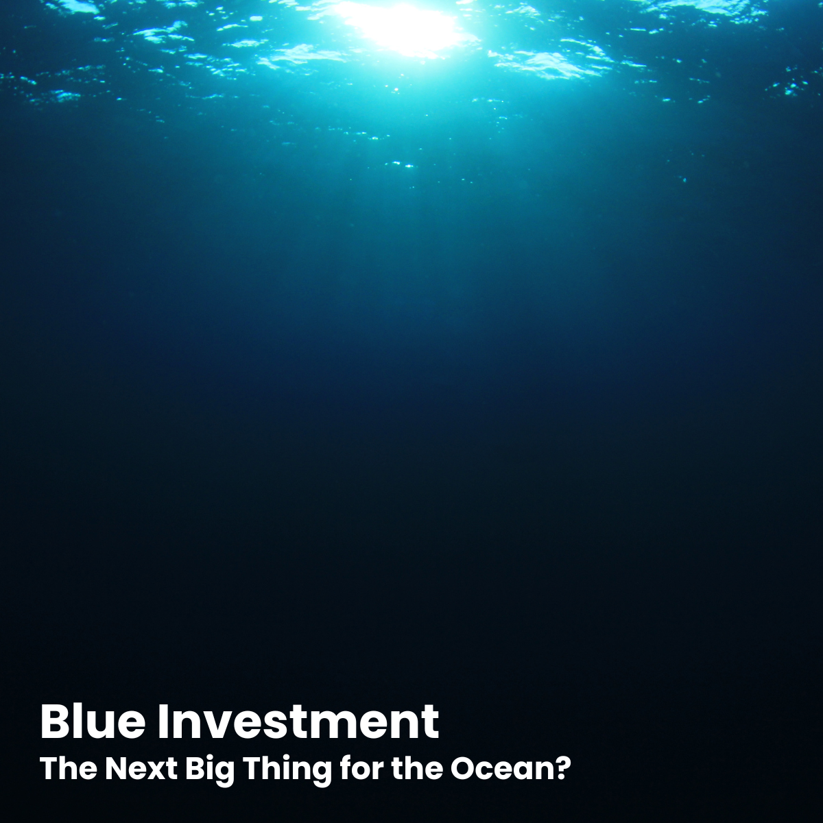 Blue Investment: Financing the Ocean’s Future